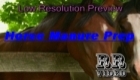 Horse Manure Preparation